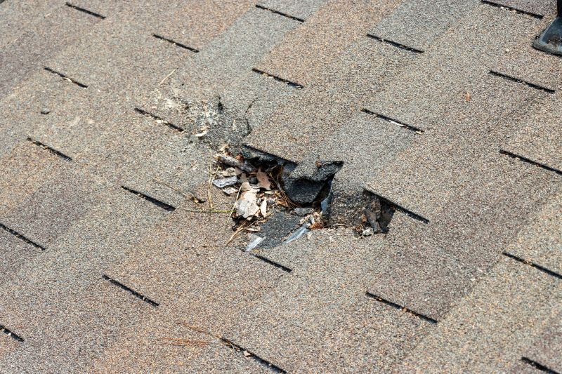 Asphalt Roof Replacement in Locust Grove, GA