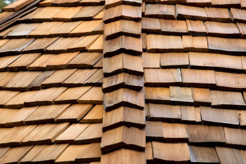 Cedar Shake Roof Construction in Mcdonough, GA
