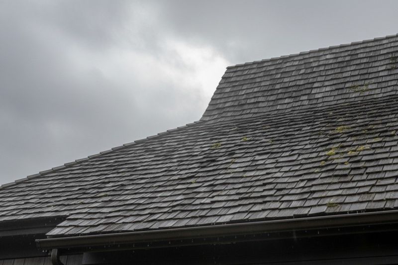 Cedar Shingles Replacement in Lovejoy, GA