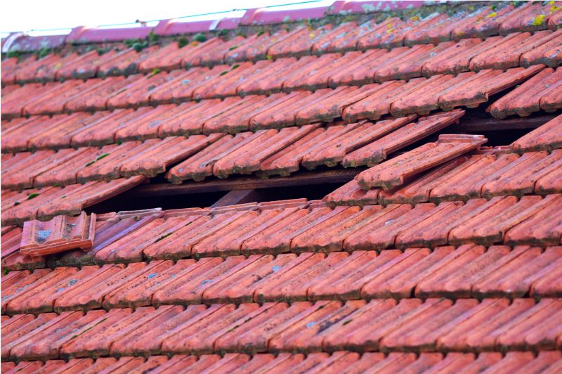 Damaged Roof Replacement in Williamson, GA