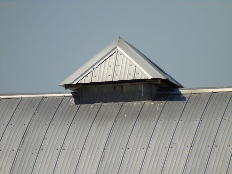 Tin Roof Installation in Peachtree City, GA